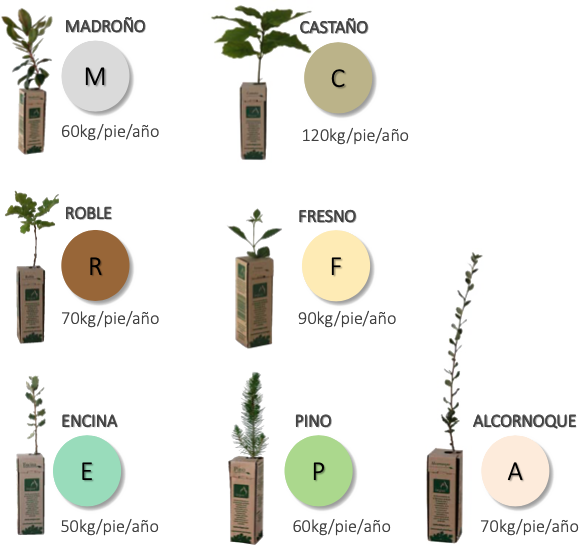 arboles por aceite